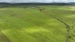 Major cattle property remains on market after being put to auction | Video