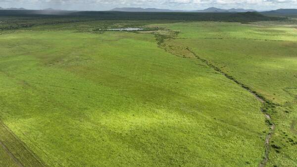 Major cattle property remains on market after being put to auction | Video