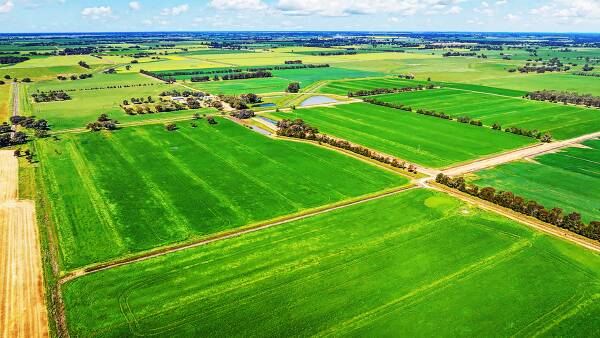 Patience pays dividends for owner of irrigated farm in northern Victoria