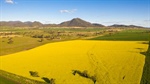 GrainCorp argues "compelling" case for the push for Aussie biofuel sector