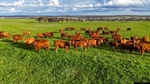 Highly productive 2967 acre farming and grazing operation with potential