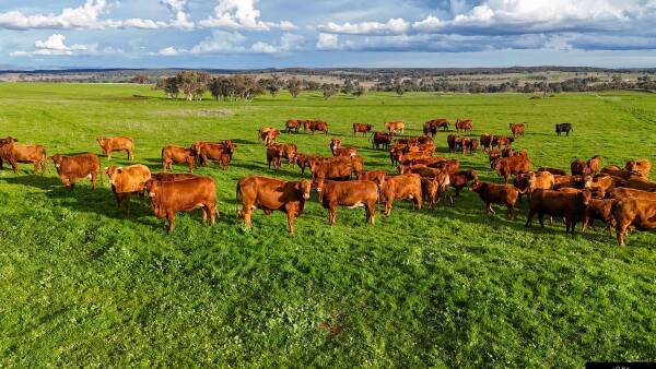 Highly productive 2967 acre farming and grazing operation with potential