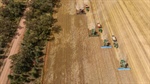 The complex truth behind Australia's global wheat price reputation