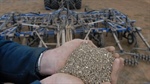 Fertiliser relief may be short-lived as new threats loom for phosphate supply