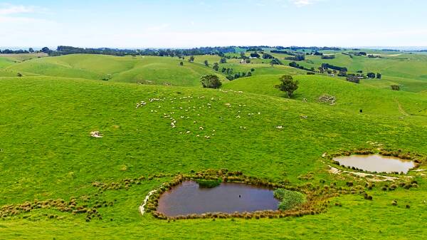 High-rainfall 115ha Mardan farm has been sold in South Gippsland