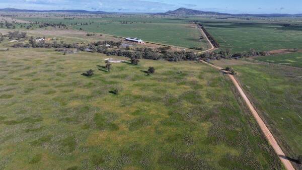 Stanley Park a successful livestock operation also well suited to farming