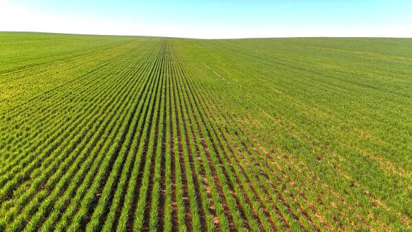 Big 11,995ha Nowingi Plains cropping portfolio for sale in the Mallee