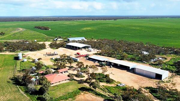 Buyer's choice | Two large cropping properties join sales market together