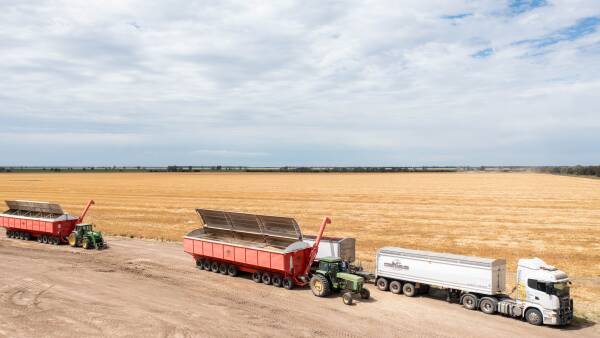 Black Sea disruption continues, so why aren't wheat prices skyrocketing?