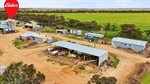 Budget-friendly broadacre farm on sales market, 1580 acres under $1m