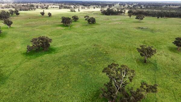 Two diverse SA grazing blocks join flood of cropping country in spring sales