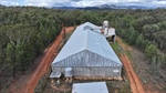 GrainCorp auctions off surplus assets with Ulamambri still on the market