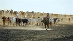 Outright sale or partner wanted for 178,870ha NT/WA cattle station