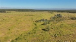 Productive 11,000 acre cattle country property sold at strong auction