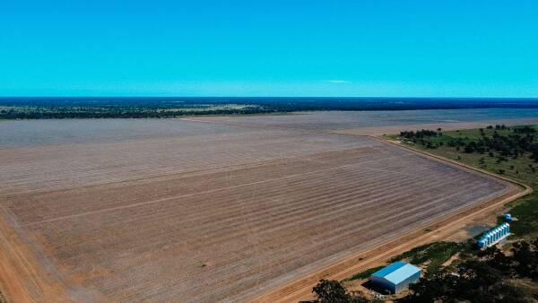 Yahgunya Cotton delivers 2439 acres of laser levelled cultivation country
