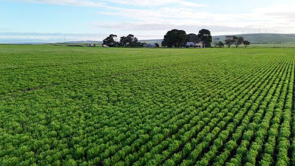 Entry-level SA cropping farm starts at $3185 per acre