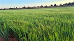 Farmers to use diesel 'well beyond' 2050 under $15B govt cash for trash plan