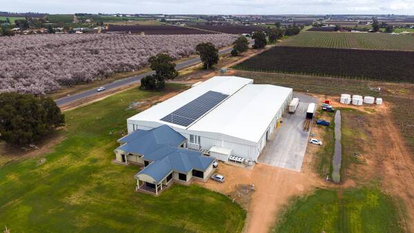 Major SA stone fruit business for sale with a $10 million price tag