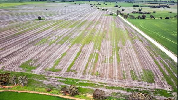 Black family parts with 348ha SA farm after 100 years