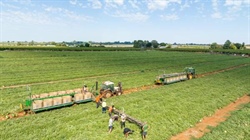 Why the world's biggest food producers aren't always the biggest suppliers