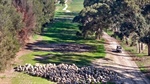 Spring farm auctions start quietly with no bids for Keith lucerne property