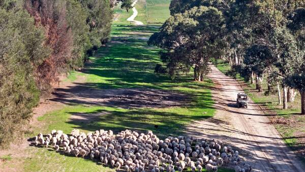 Spring farm auctions start quietly with no bids for Keith lucerne property