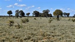 Prairie a very well developed cattle property in a 'dress circle' district