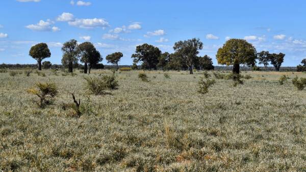 Prairie a very well developed cattle property in a 'dress circle' district