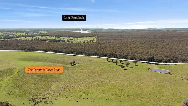 Bendigo district sheep farm sells for almost $3m after years on the market