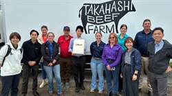 High costs, elite marbling: rare insights into Japan's Wagyu industry