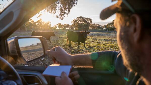 The rural radar: why farmers will always be the eyes and ears of the bush