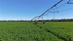 First-class irrigation asset with an opportunity for immediate access