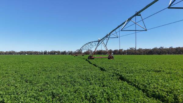 First-class irrigation asset with an opportunity for immediate access