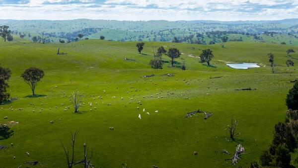 Verana with fertile creek flats and gently undulating grazing land | Video