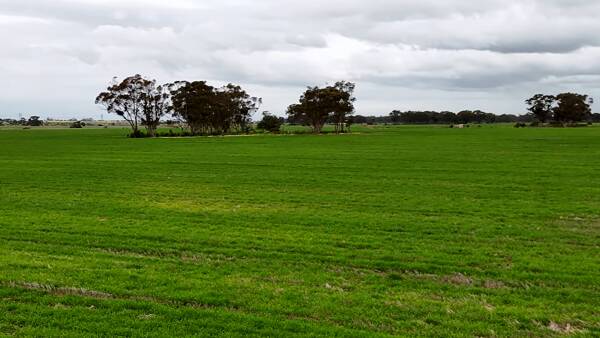 Farm sale near Melton offers AI data centre appeal to buyers
