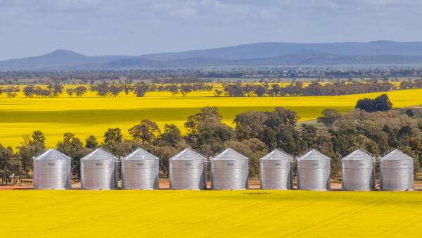 Advocacy shake-up as GrainGrowers opens membership door to state farm groups