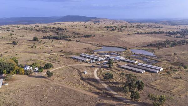 Farrow-to-finish operation turning-off about 10,000 pigs annually | Video