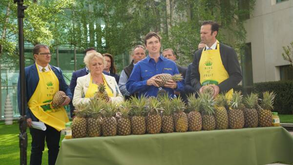 'The last straw': farmers fear one Canberra call could end an iconic industry