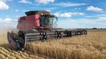 Black Sea supply tensions collide with surging harvests across Americas