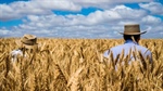 Australian grain holds value despite unsteady market environment overseas