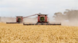 How future hedges could be a way to balance risk with price volatility