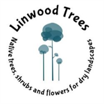 Linwood Tree Nursery